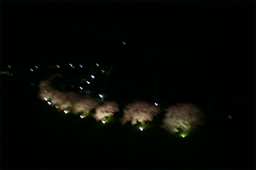 a0231133_16495894.jpg