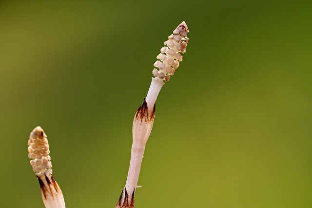 a0242438_18595839.jpg