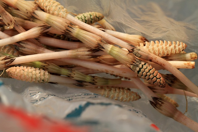 a0242438_190449.jpg