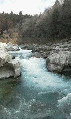 c0134145_16574041.jpg