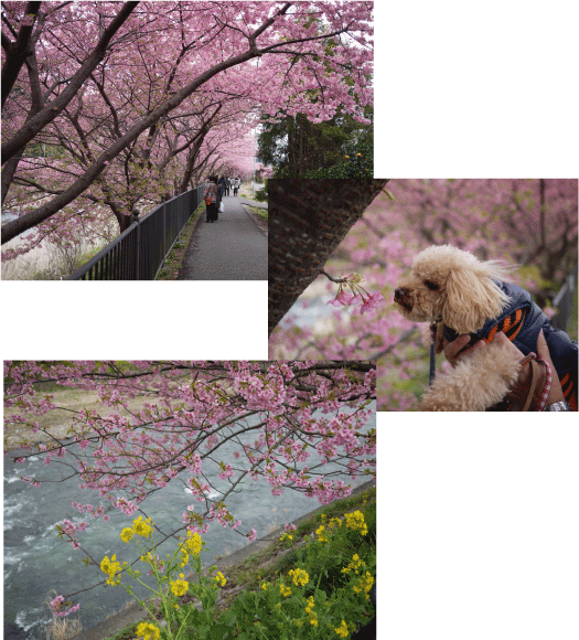 b0182846_17545884.gif