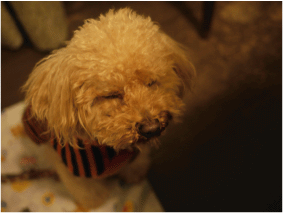 b0182846_17562987.gif