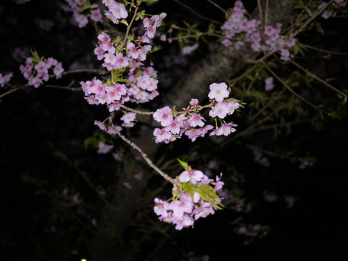 b0182846_1801331.jpg