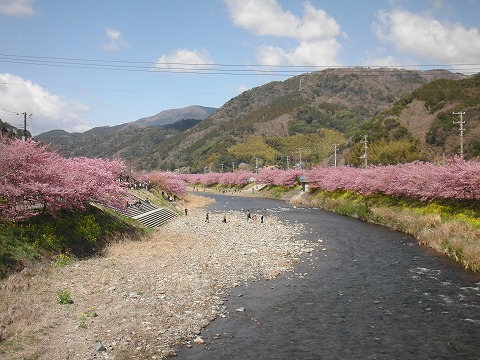 d0138650_092685.jpg