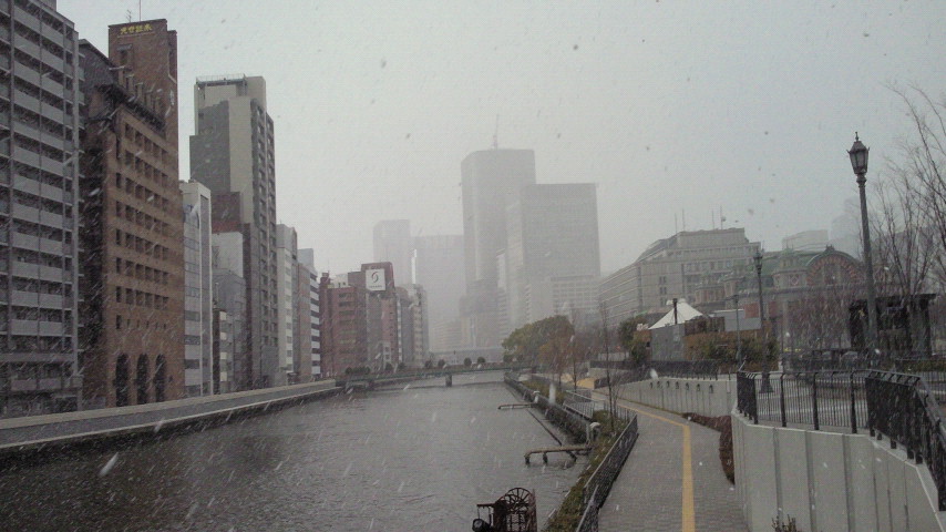 a0212656_813849.jpg