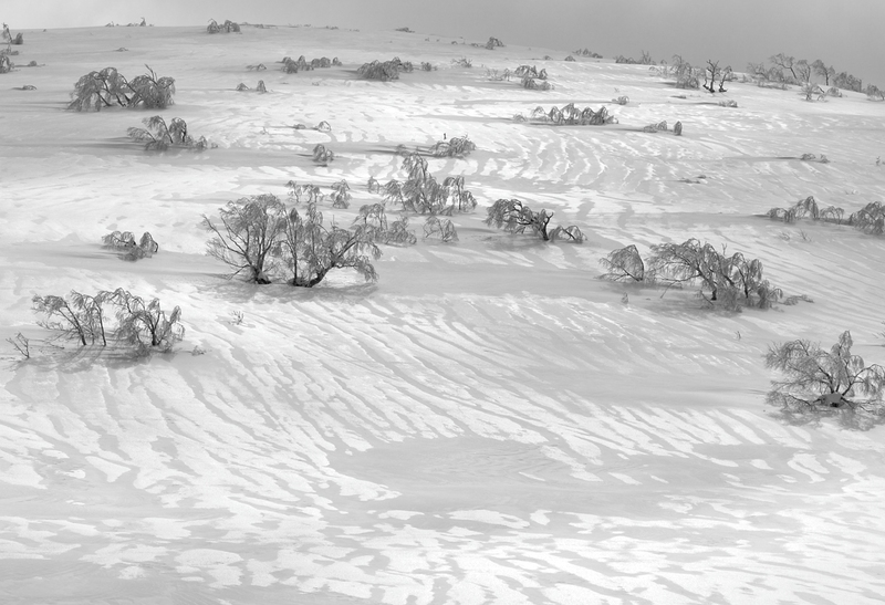 d0169556_17483995.jpg