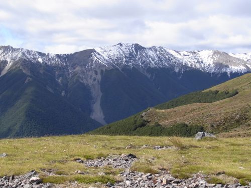 d0005157_11543991.jpg