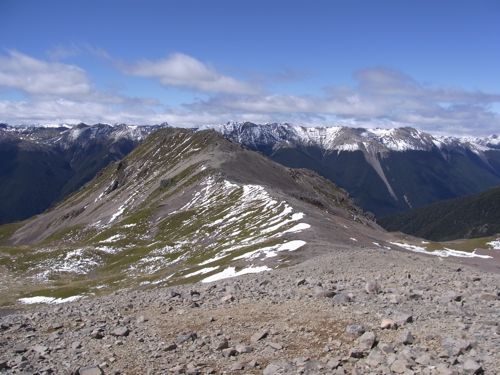 d0005157_11551159.jpg