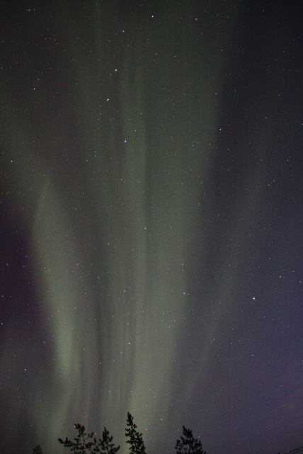 d0221360_1635365.jpg
