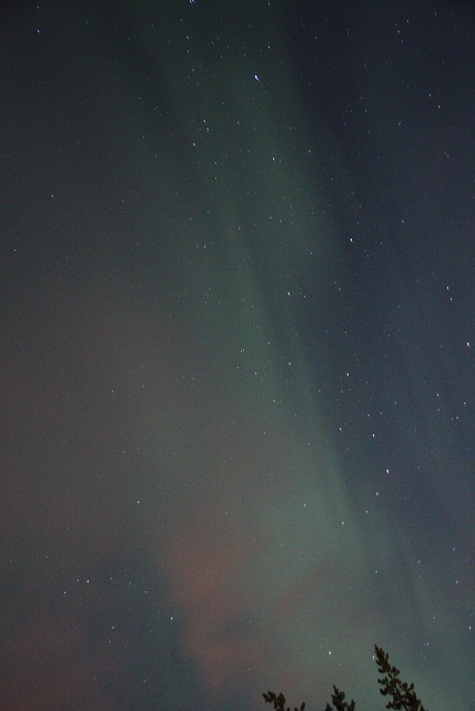 d0221360_1655537.jpg