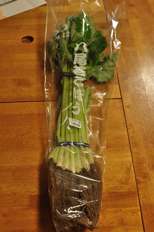 e0138560_21445030.jpg