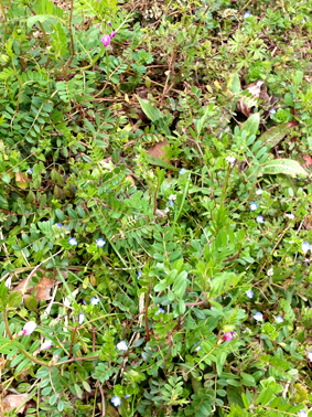 a0040963_12195321.jpg