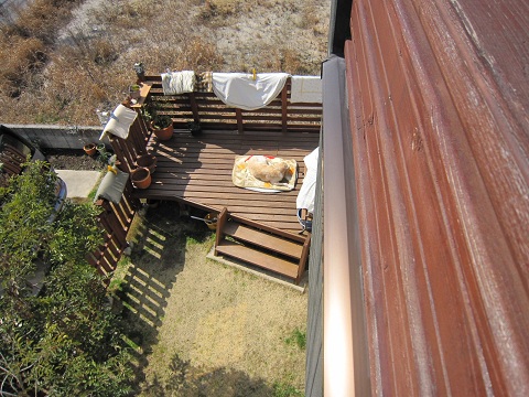 d0120665_22463810.jpg