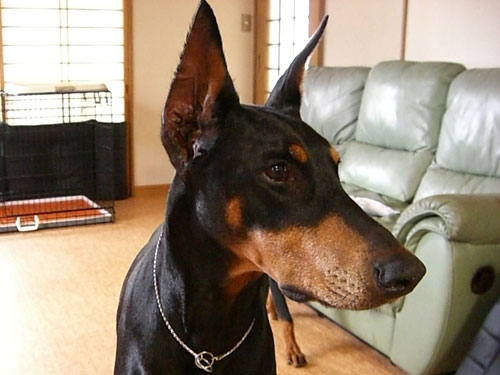 f0025769_21291895.jpg