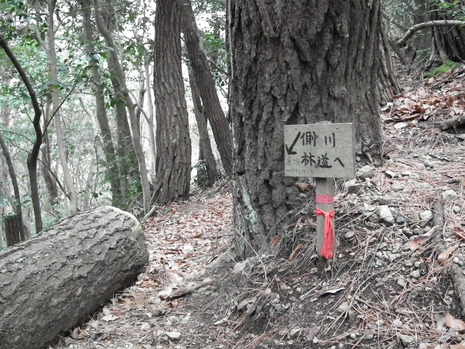 c0019376_15201660.jpg