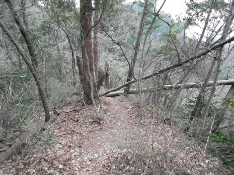 c0019376_15231117.jpg