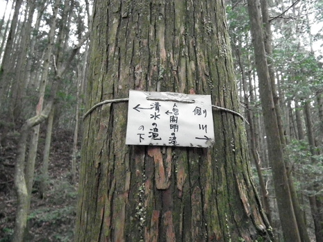 c0019376_15295974.jpg