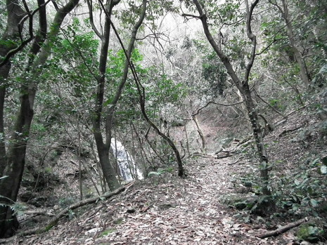 c0019376_15332221.jpg