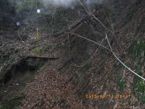 c0019376_154153100.jpg