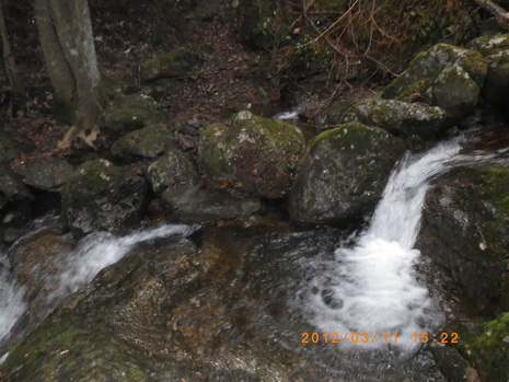 c0019376_15522024.jpg