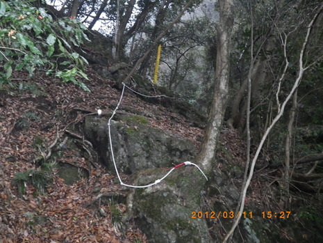 c0019376_15524256.jpg