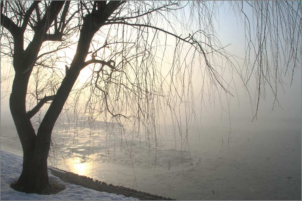 e0149577_023667.jpg