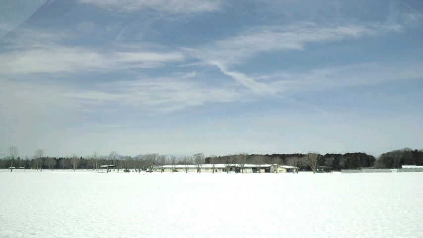 c0187178_2252.jpg