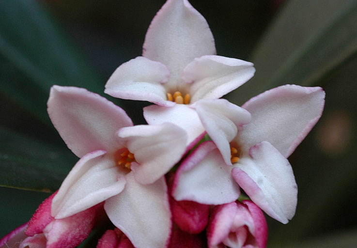 b0057679_8472823.jpg