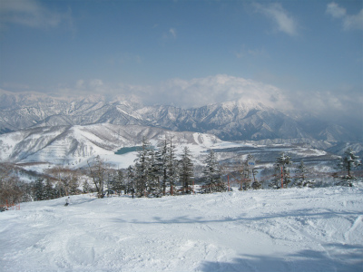 a0038882_1702295.jpg