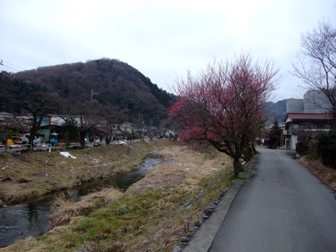 a0043982_17275264.jpg