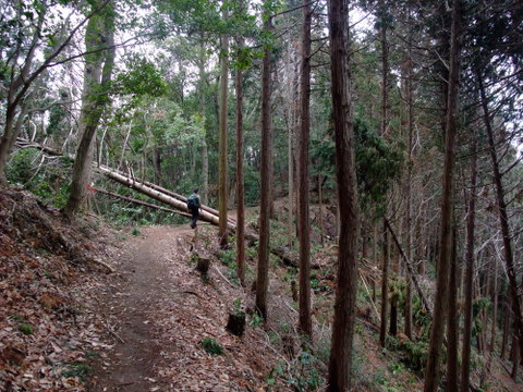a0043982_17304556.jpg