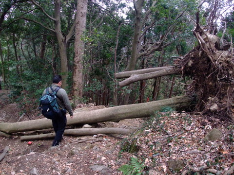 a0043982_1731374.jpg