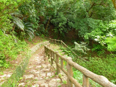 d0240983_1938374.jpg