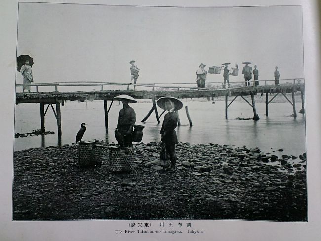 f0035084_15243513.jpg