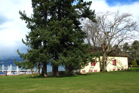 d0129786_8471561.jpg