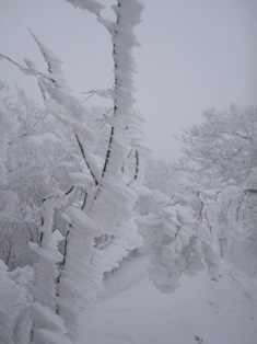 b0050787_17415332.jpg