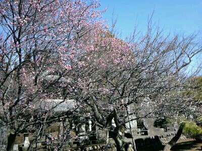 a0006092_17124819.jpg