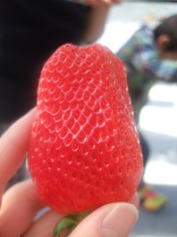 b0092794_23383056.jpg