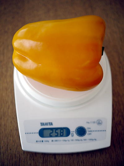 c0090198_4335678.jpg
