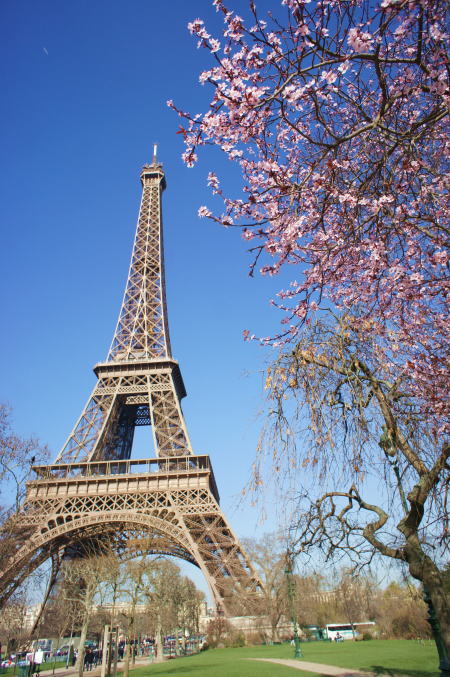 c0090198_4545437.jpg