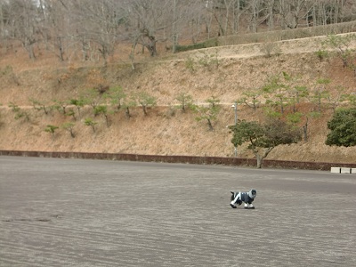 a0134004_15185914.jpg