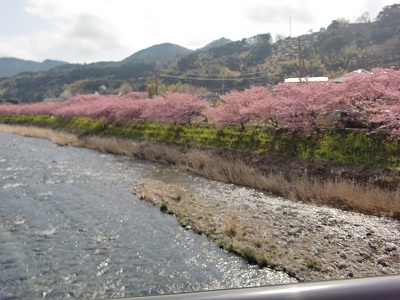 a0134004_15203634.jpg