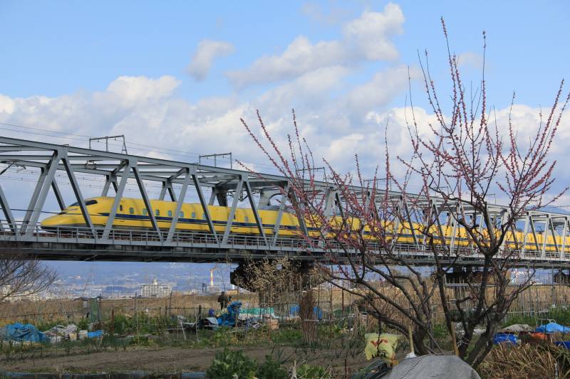 a0188405_16374466.jpg