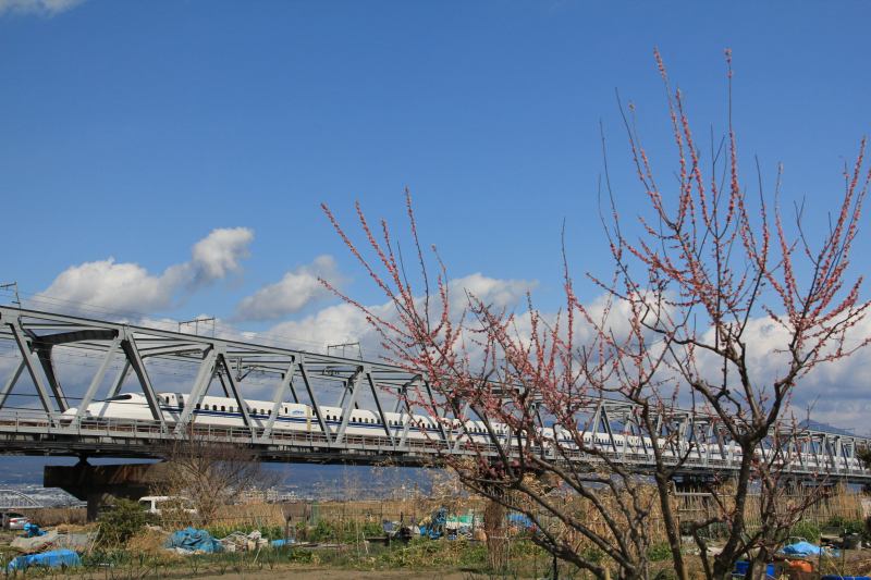 a0188405_16393113.jpg