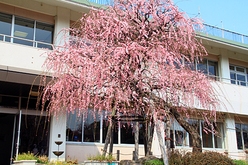 b0014607_9185487.jpg