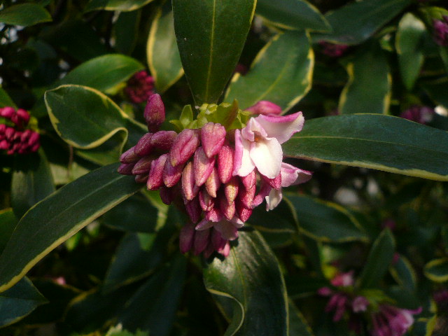 e0026017_14173371.jpg
