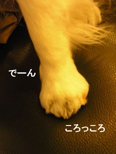 f0214121_947782.jpg