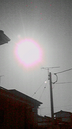 d0110022_23182978.jpg