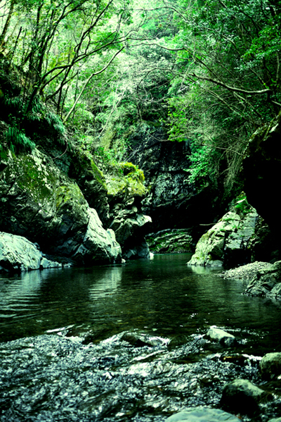 e0200926_8231734.jpg