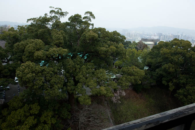 d0139939_1915534.jpg